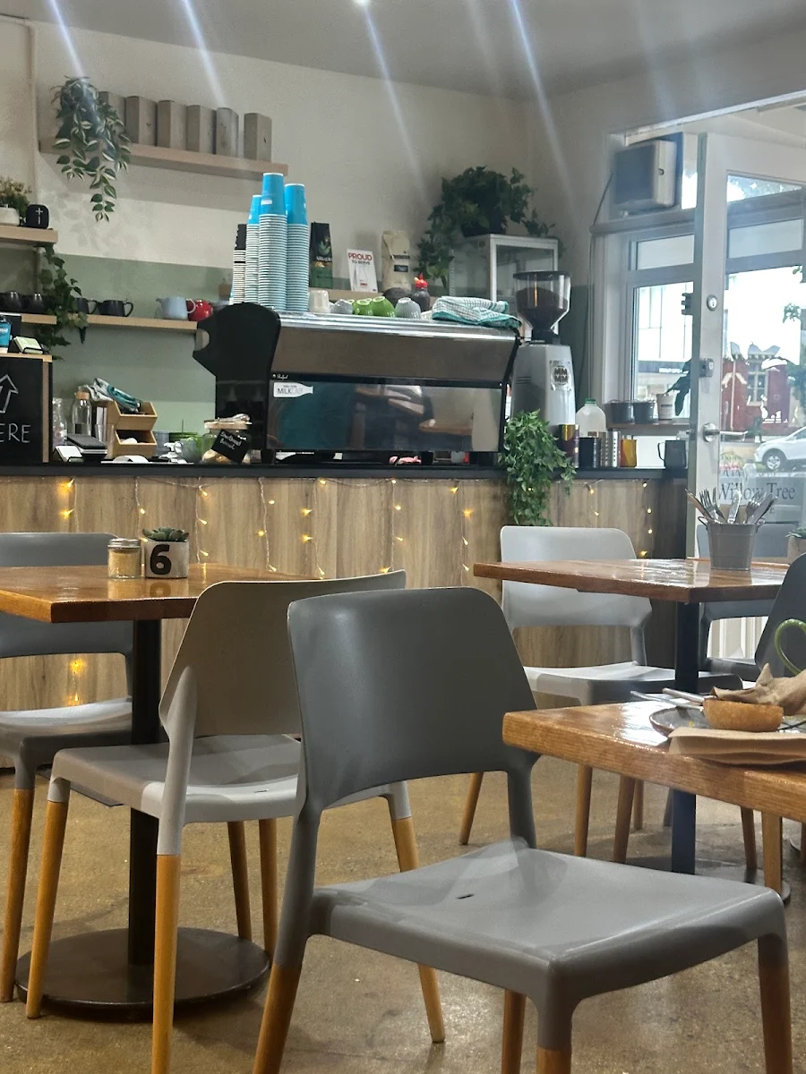 Vibe, Willow Tree Cafe