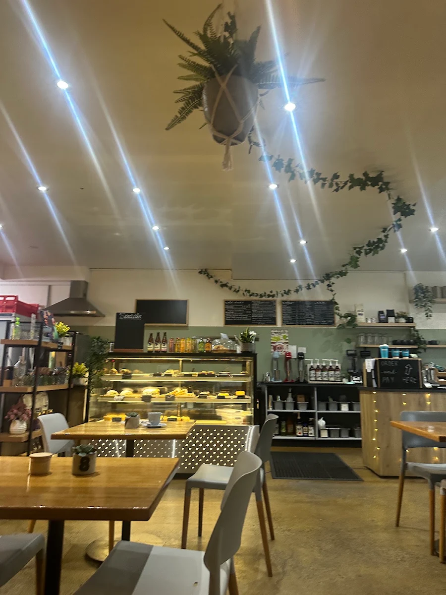 Vibe, Willow Tree Cafe
