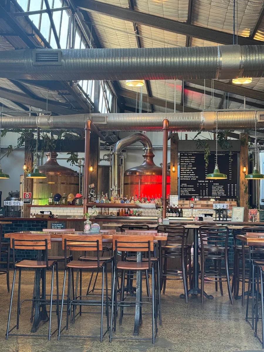 Vibe, Chuck and Son's Brewing Co.