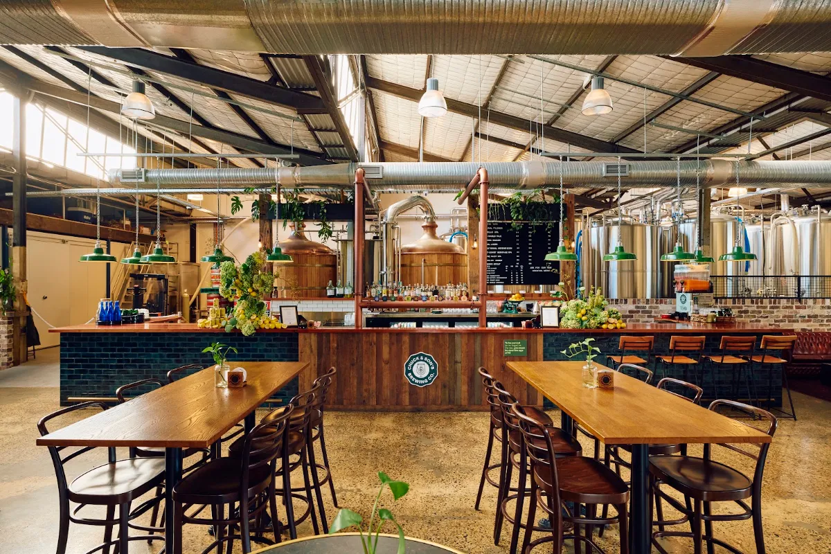 Vibe, Chuck and Son's Brewing Co.