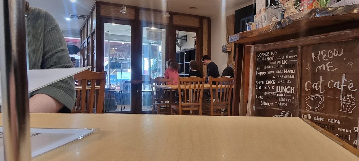 Vibe, MeowMe Cat Cafe