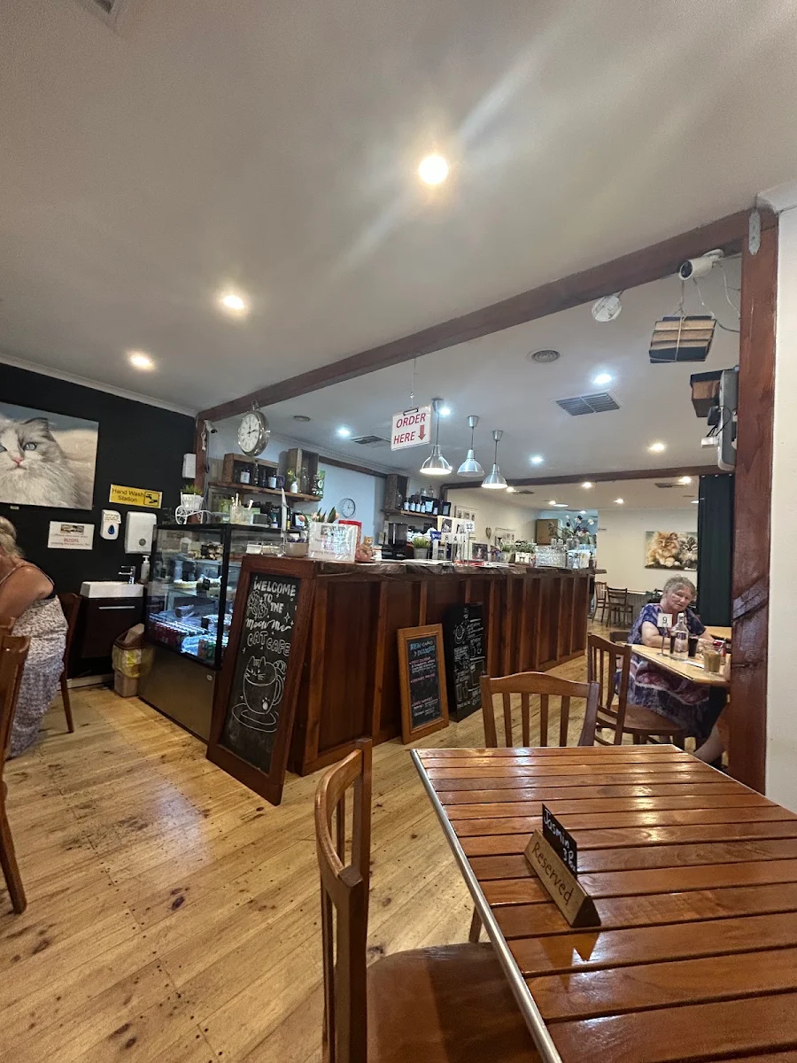 Vibe, MeowMe Cat Cafe