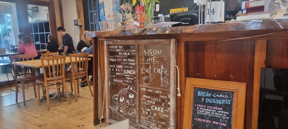 Vibe, MeowMe Cat Cafe