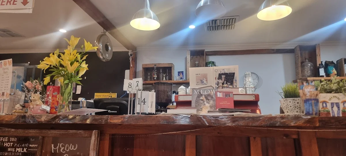 Vibe, MeowMe Cat Cafe