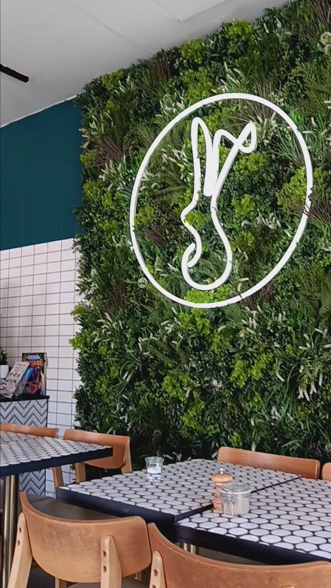 Vibe, White Rabbit Drummoyne