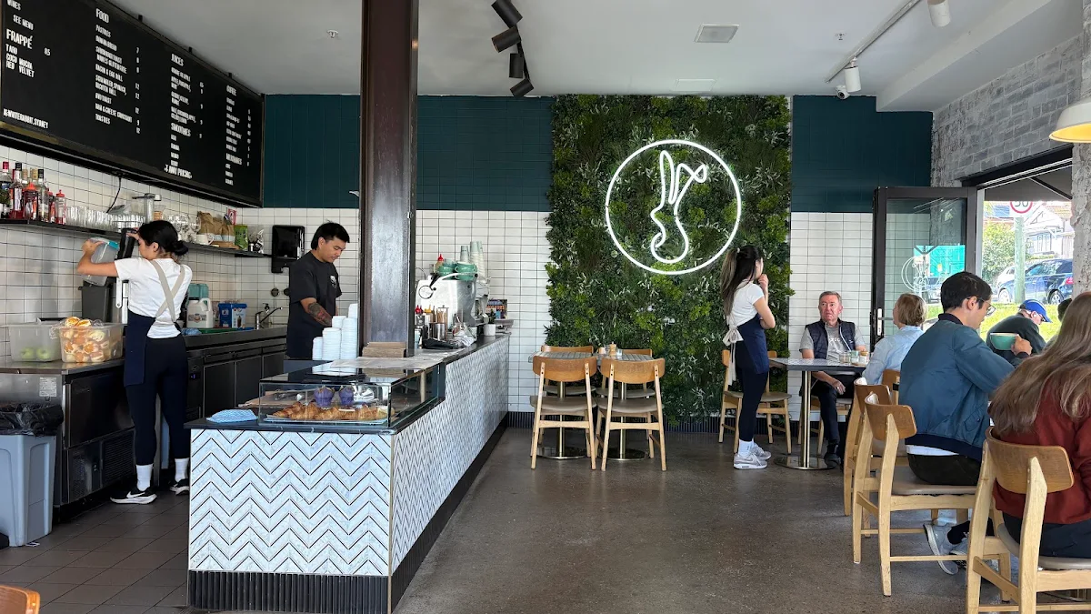Vibe, White Rabbit Drummoyne