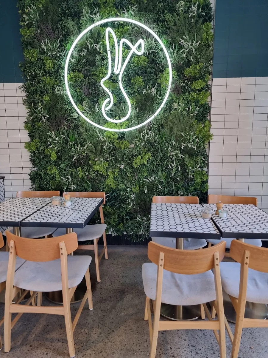 Vibe, White Rabbit Drummoyne