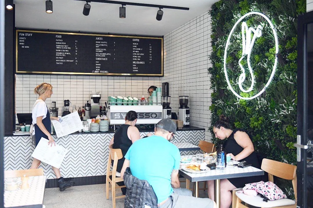 Vibe, White Rabbit Drummoyne