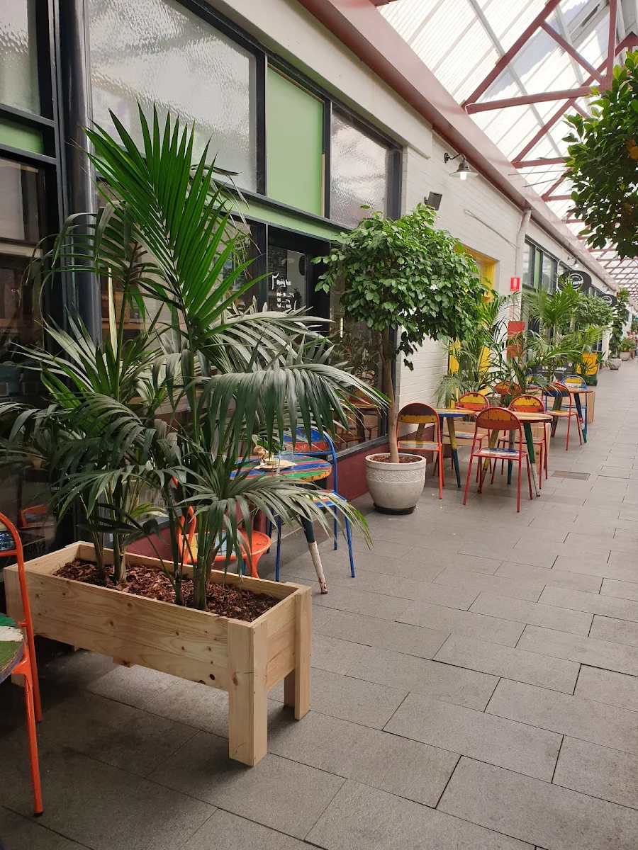 Vibe, The Plant Organic Vitality Market & Wellness Bar