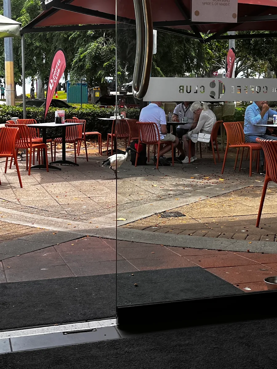 Vibe, The Coffee Club Café - The Strand Townsville