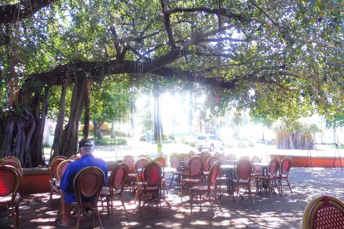 Vibe, The Coffee Club Café - The Strand Townsville