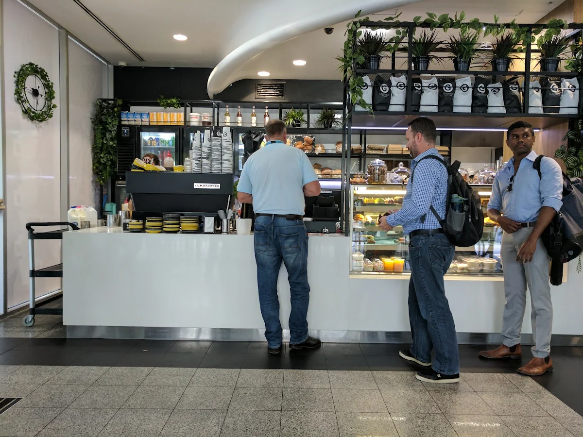 Vibe, Apothecary Coffee Zenith