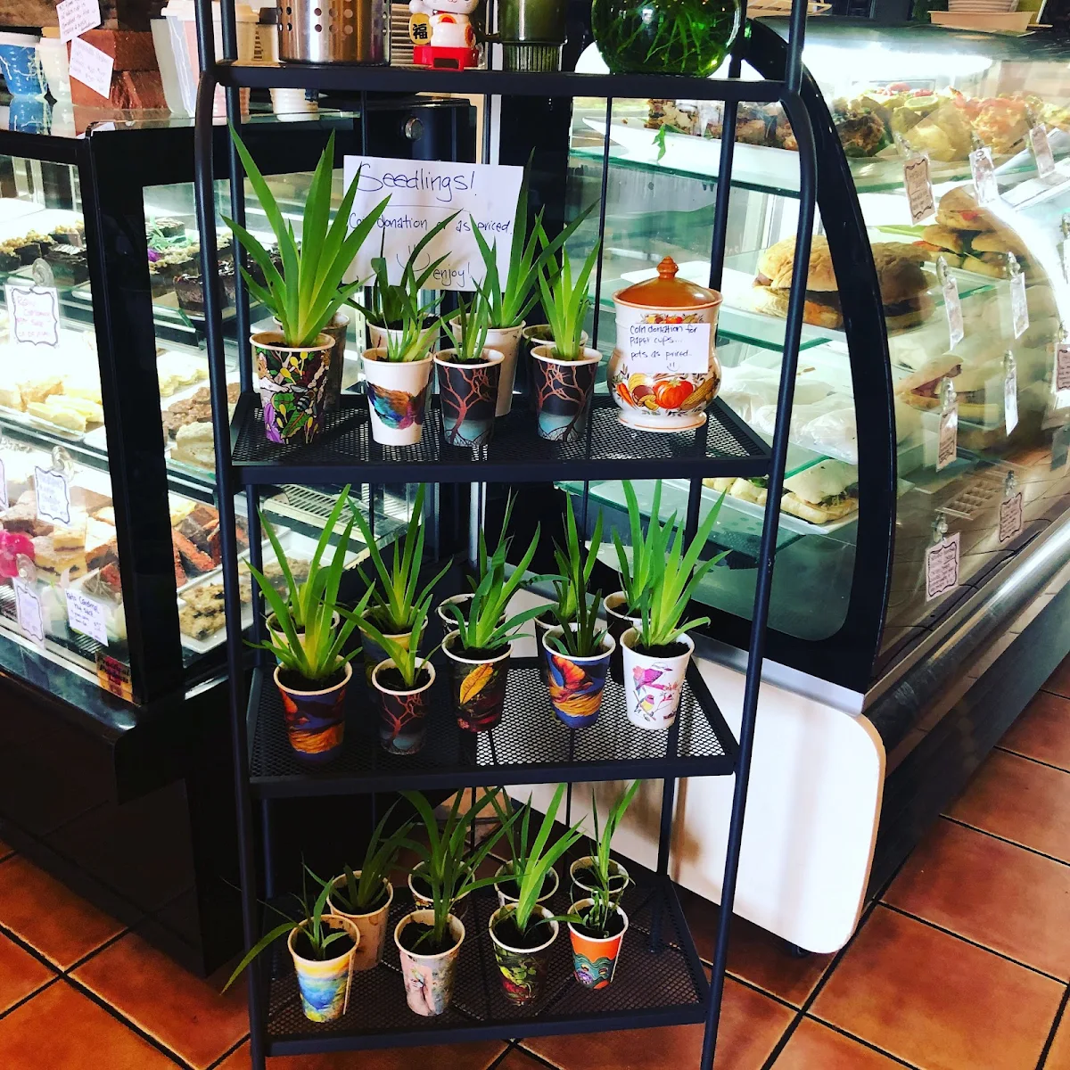 Vibe, The Urban Coffee House