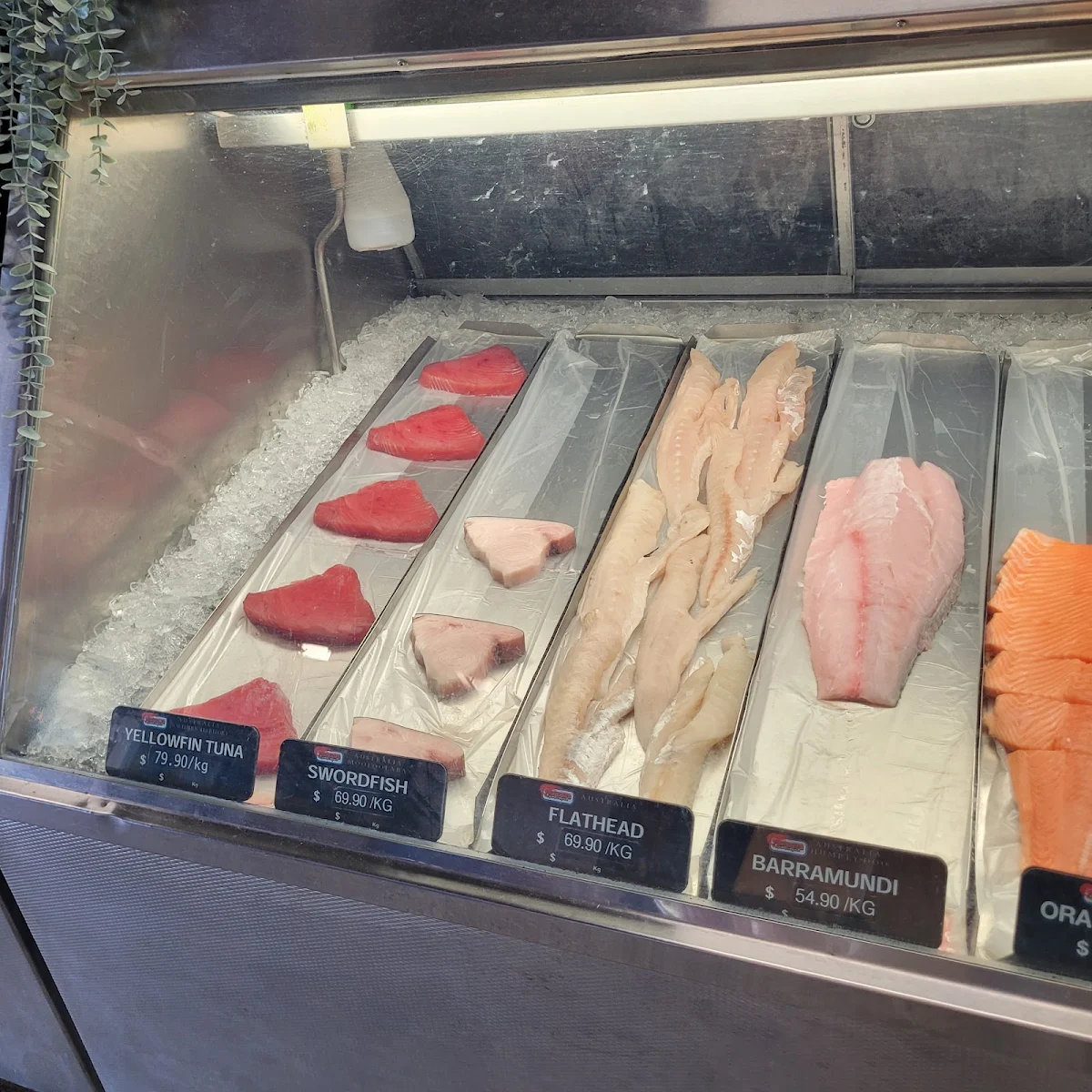 Vibe, Fisheries on the Spit