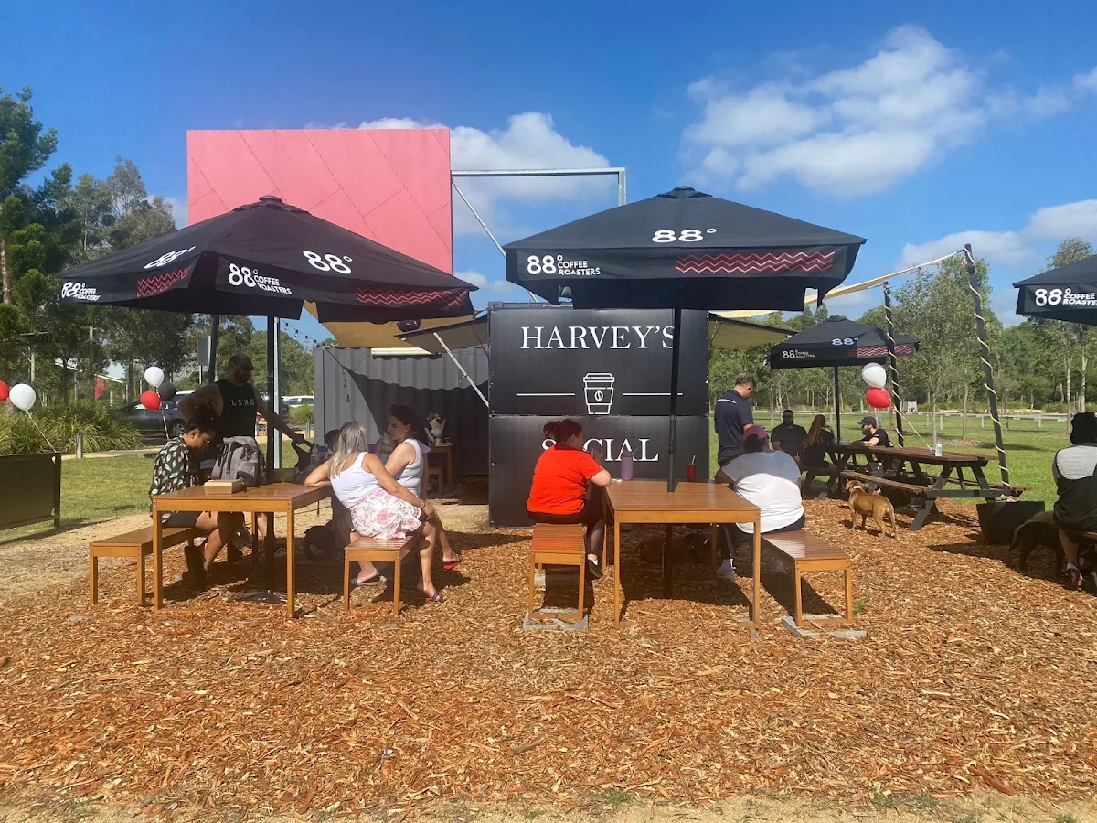 Vibe, Harvey's Social