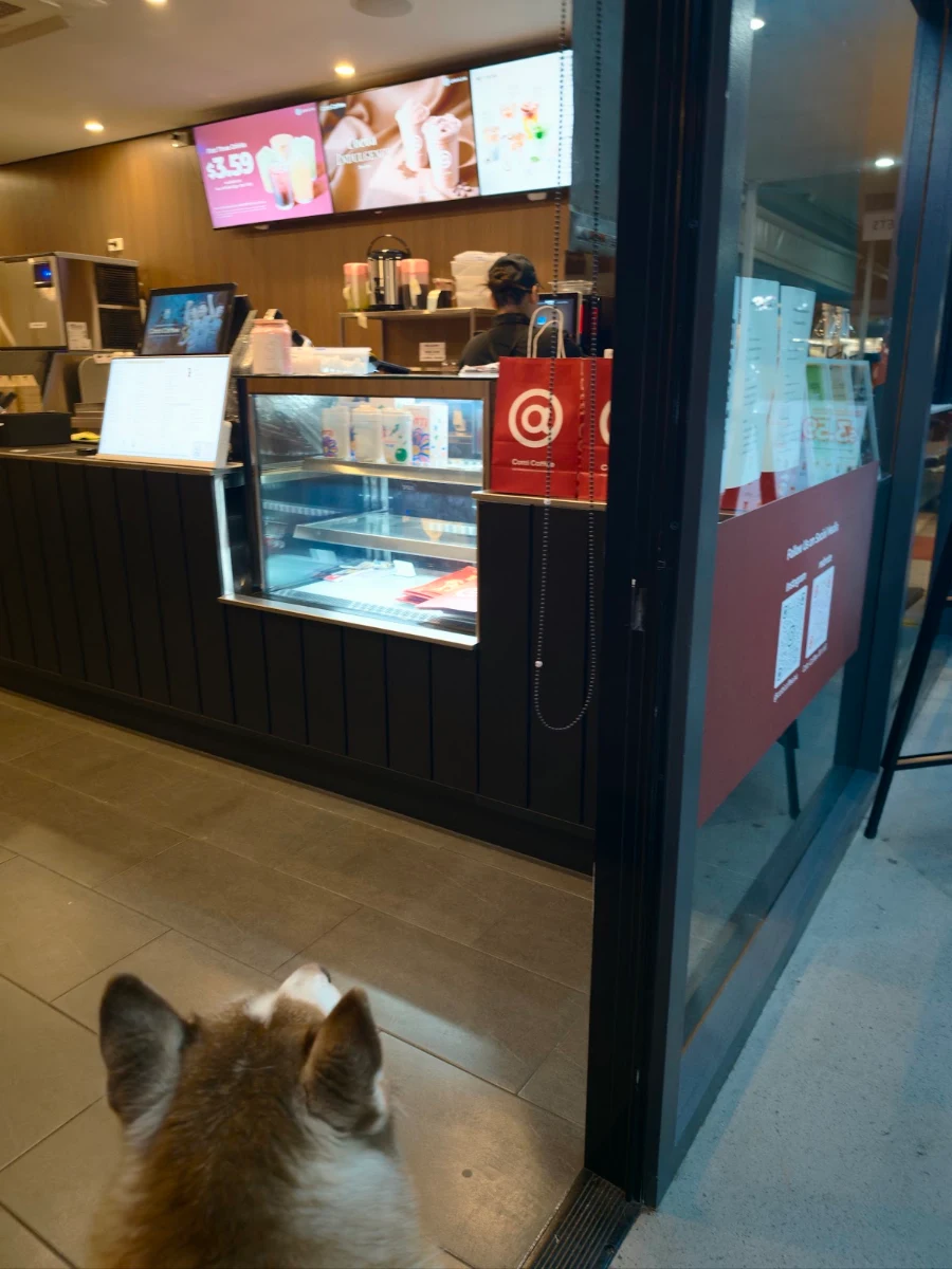 Vibe, Cotti Coffee(Pinelands plaza)
