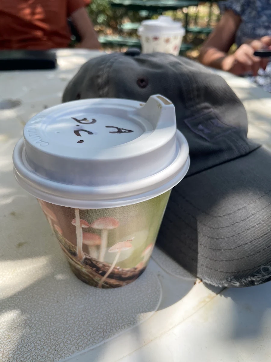 Food & drink, Chillagoe Gallery 29