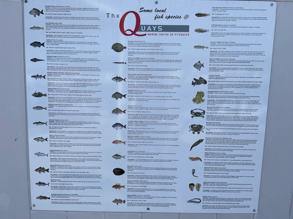Menu, The Marina Cafe
