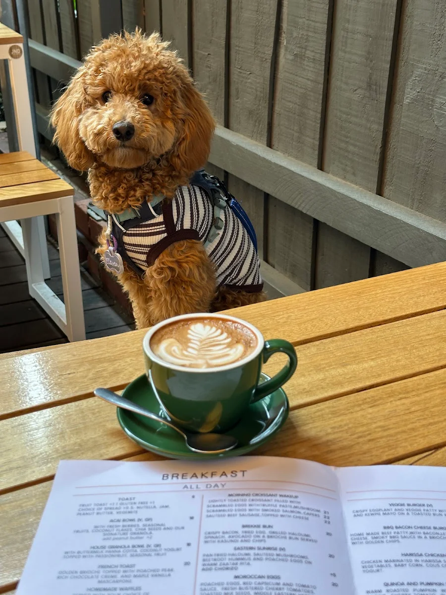 Menu, Ripples Cafe n Co