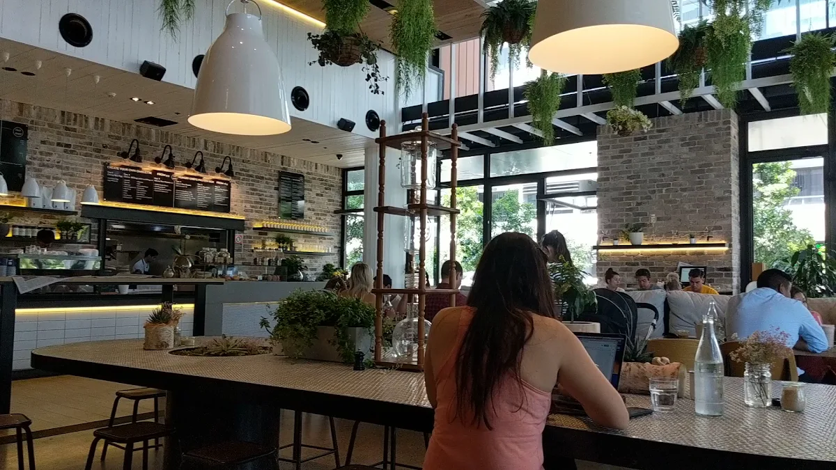 Vibe, Happy Daze Cafe Waterloo