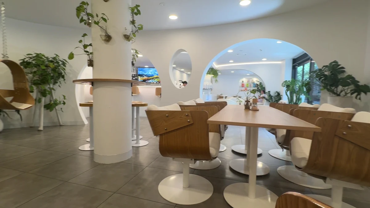 Vibe, The Gong View Cafe
