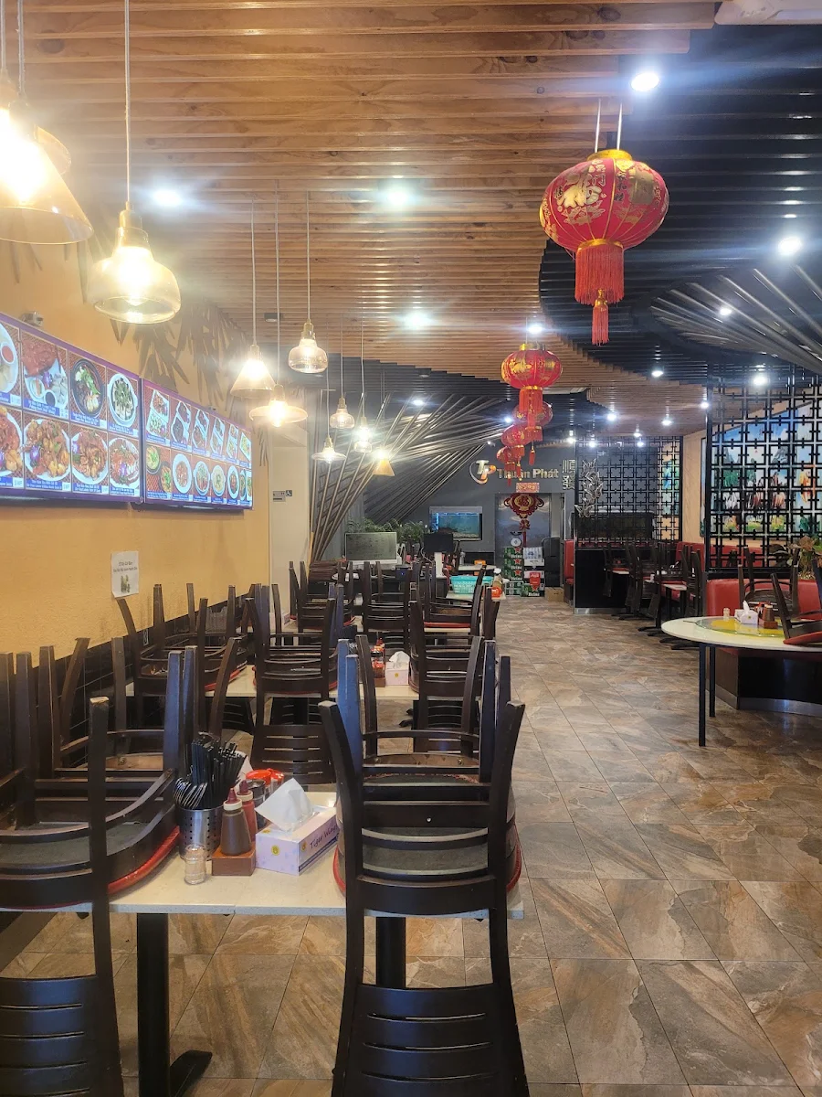 Vibe, Thuan Phat