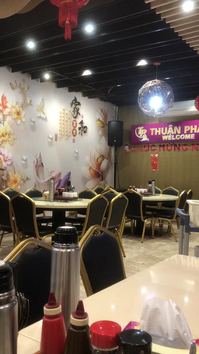 Vibe, Thuan Phat