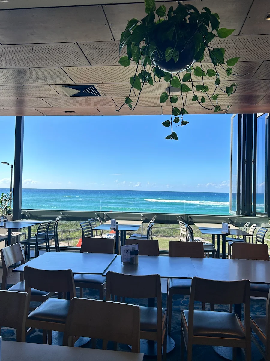 Vibe, Kurrawa Surf Club