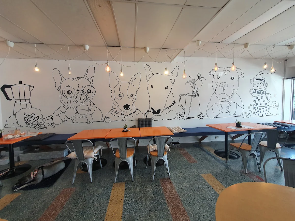 Vibe, Frenchies Cafe Wynnum