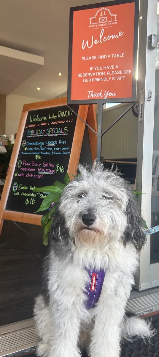 Menu, White Horse Ranch