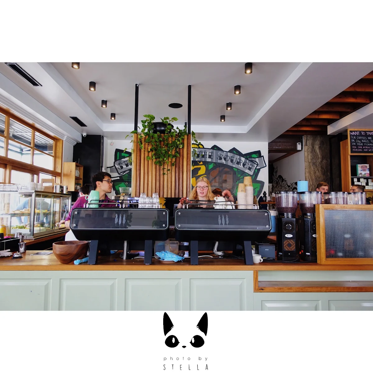 Vibe, The Cupping Room
