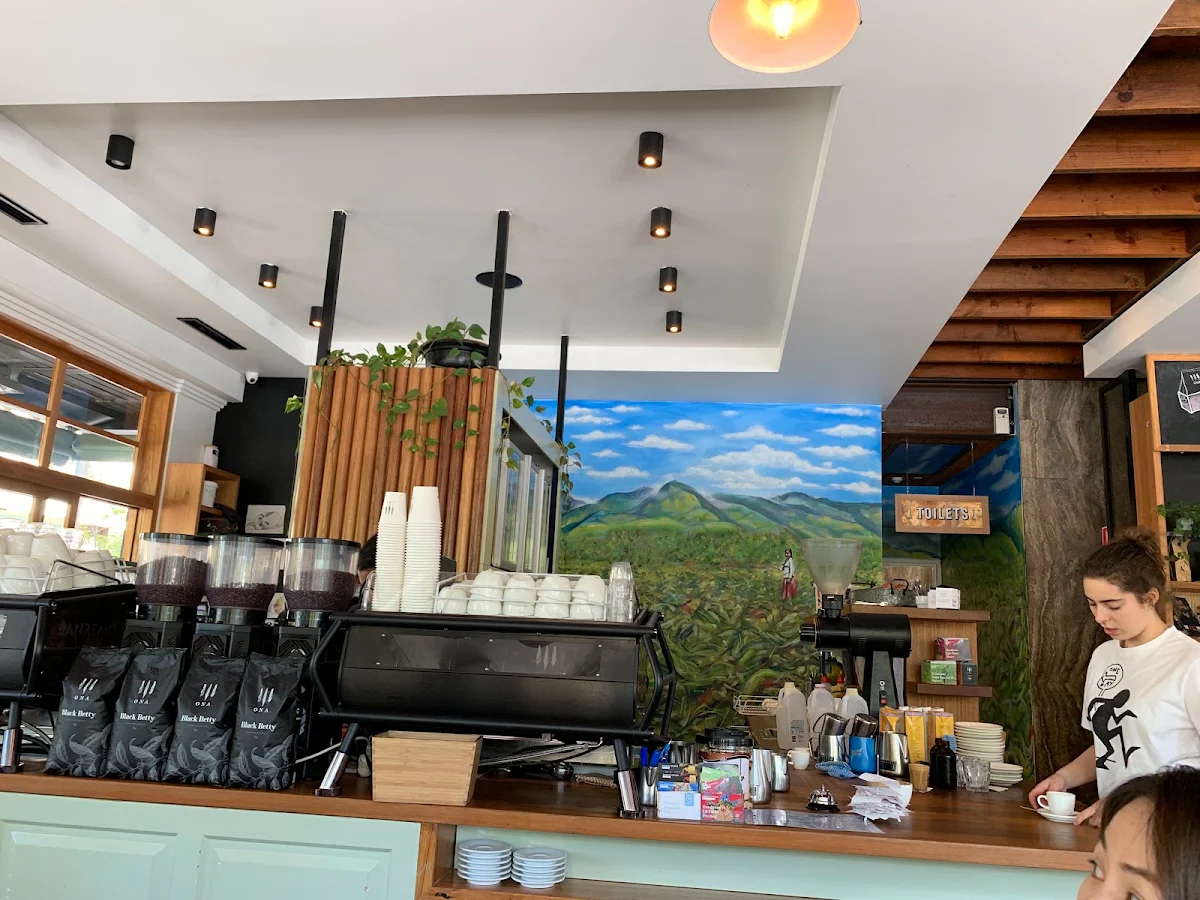 Vibe, The Cupping Room