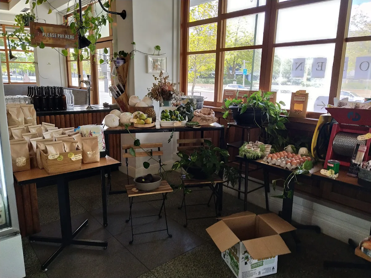 Vibe, The Cupping Room