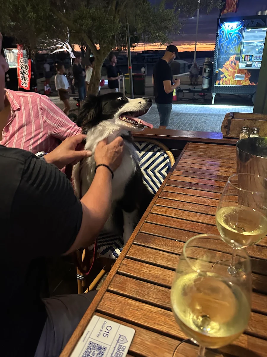 Vibe, The Coogee Boathouse Eats & Sips
