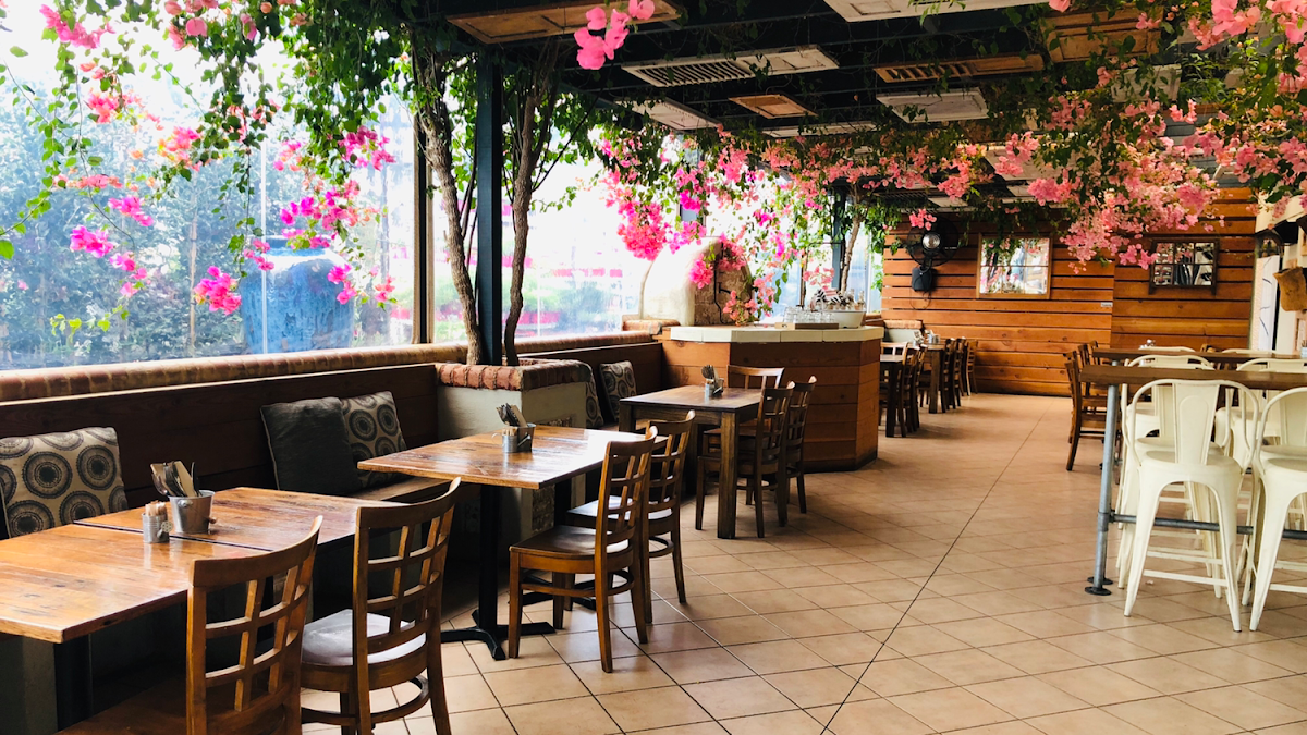 Vibe, Garden Terrace Cafe