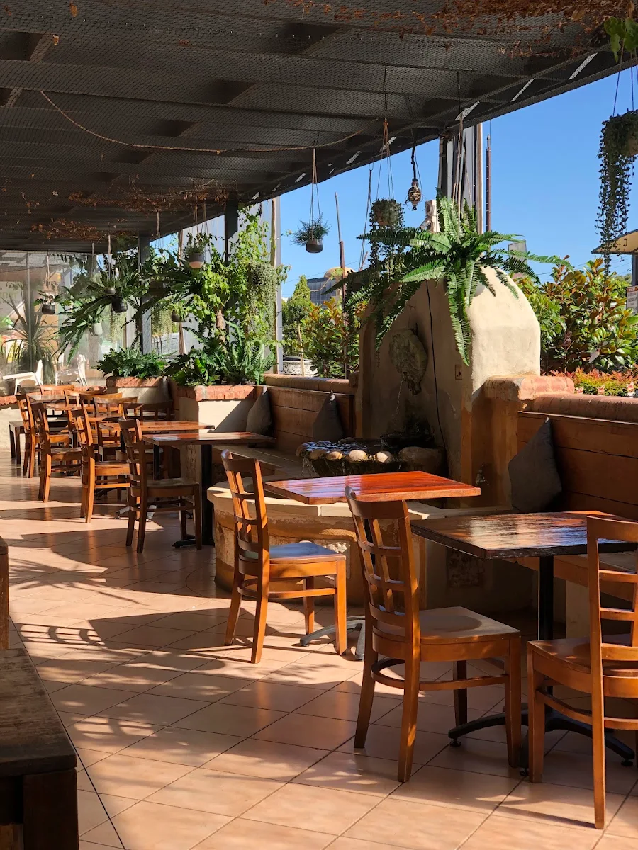 Vibe, Garden Terrace Cafe