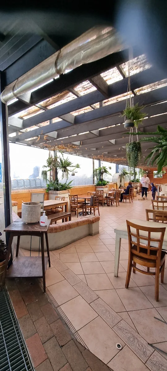 Vibe, Garden Terrace Cafe
