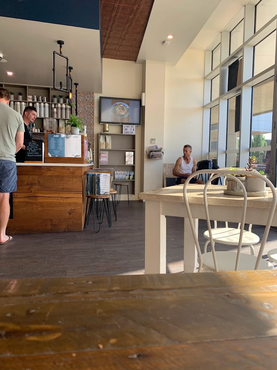 Vibe, Carlo's Wagga Wagga