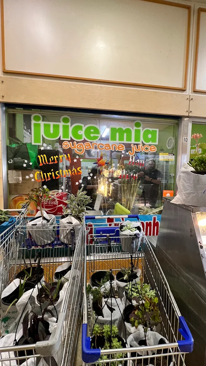 Vibe, juice mia - sugarcane juice