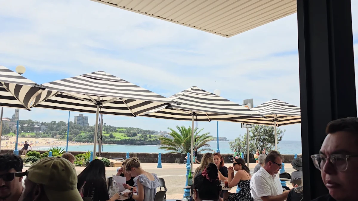 Vibe, Barzura