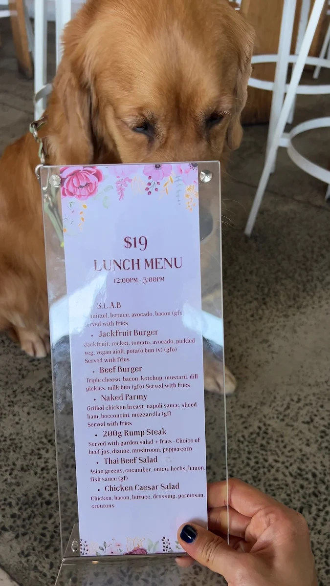 Menu, Darling & Co