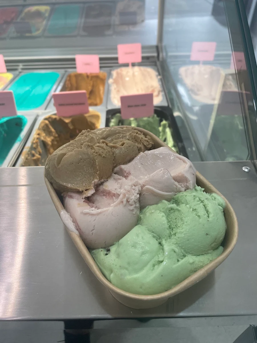 Food & drink, Melt Gelato New Lambton