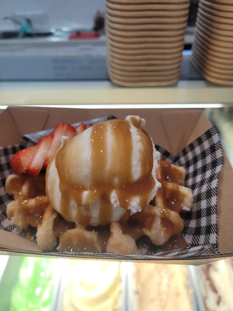 Food & drink, Melt Gelato New Lambton