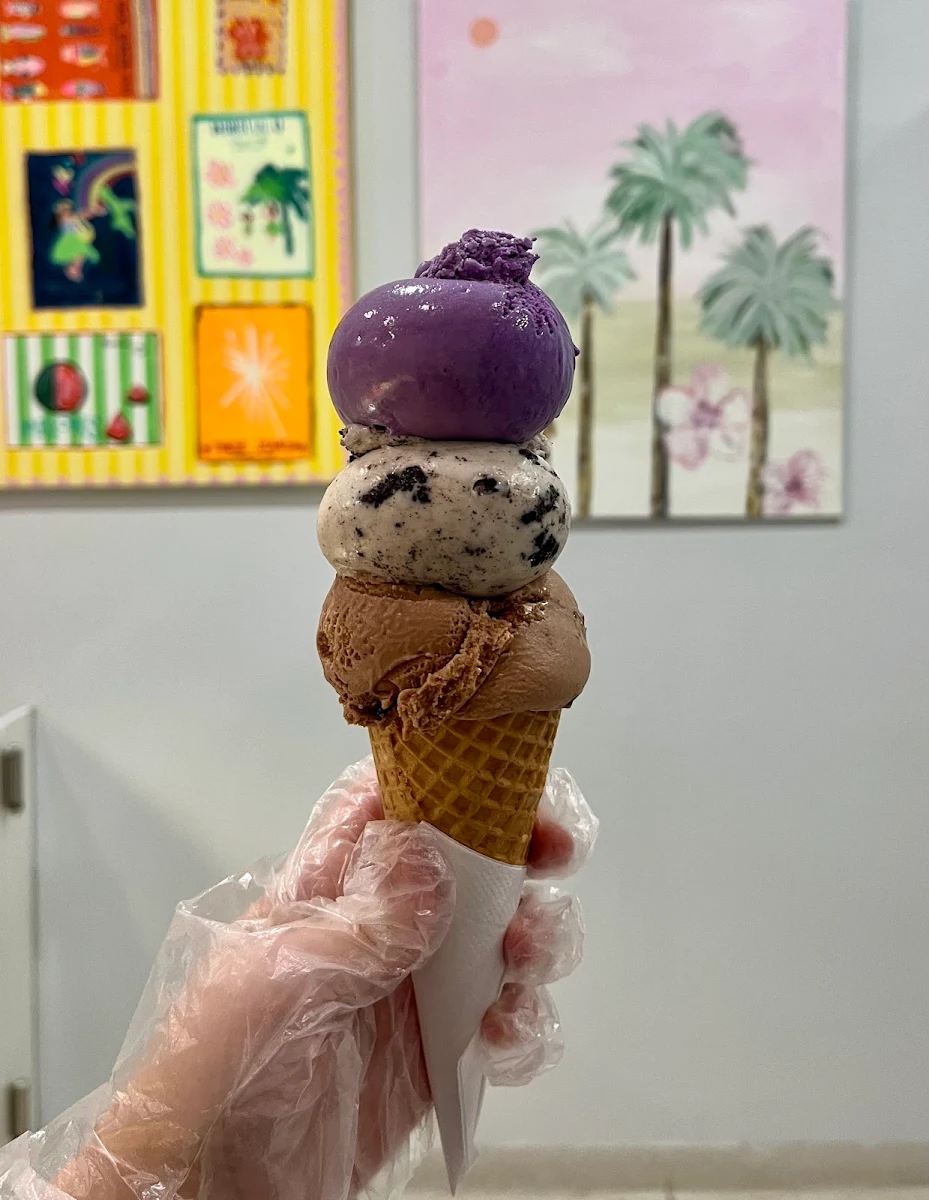 Food & drink, Melt Gelato New Lambton