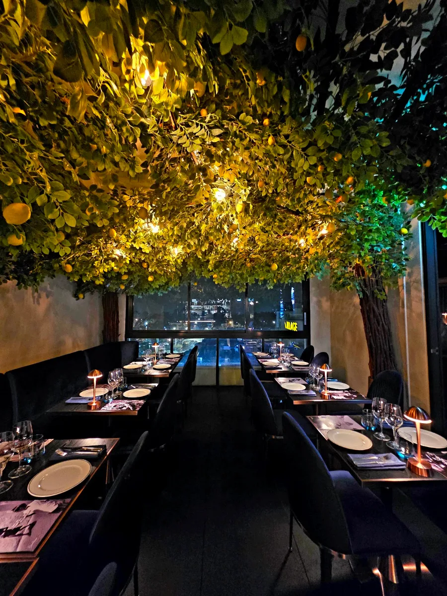 Vibe, Gambino Restaurant & Rooftop