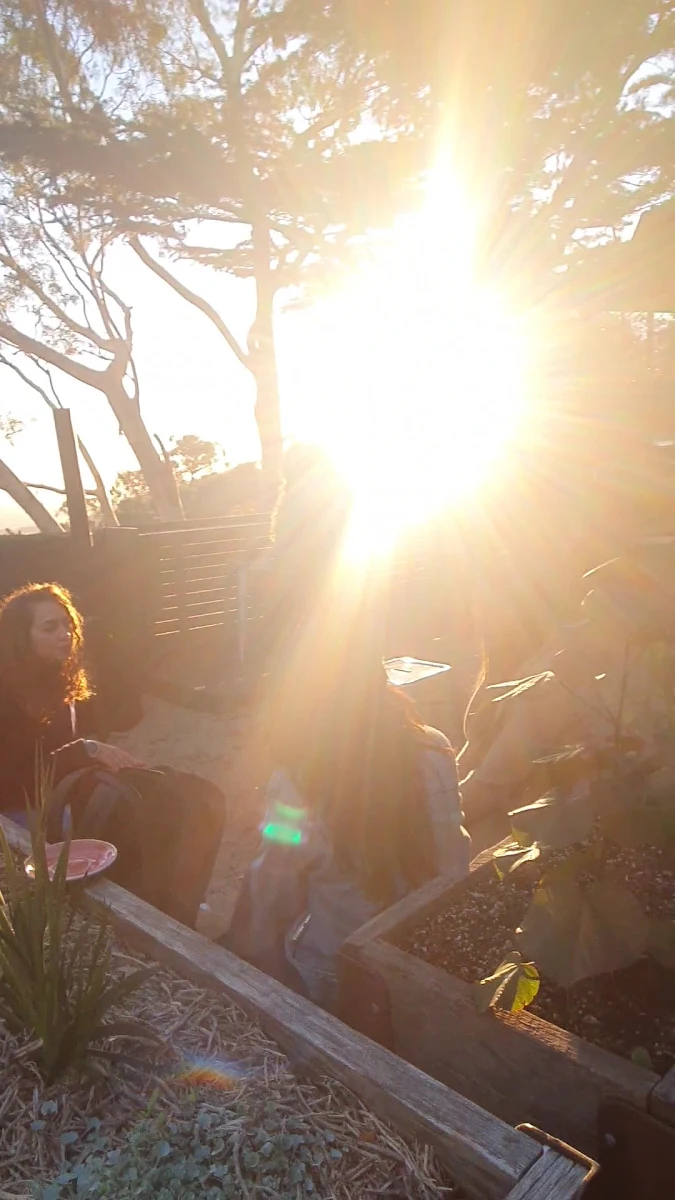 Vibe, Scenic Hotel