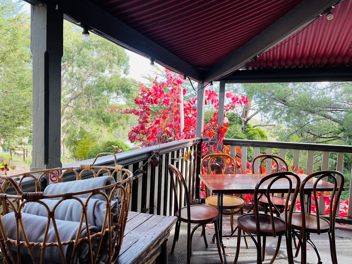 Vibe, Scenic Hotel