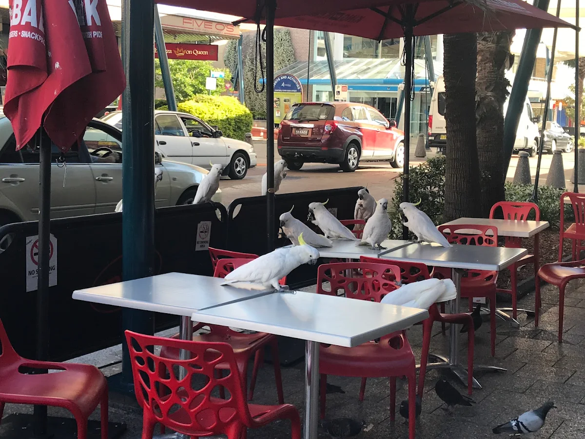 Vibe, King Kebab House