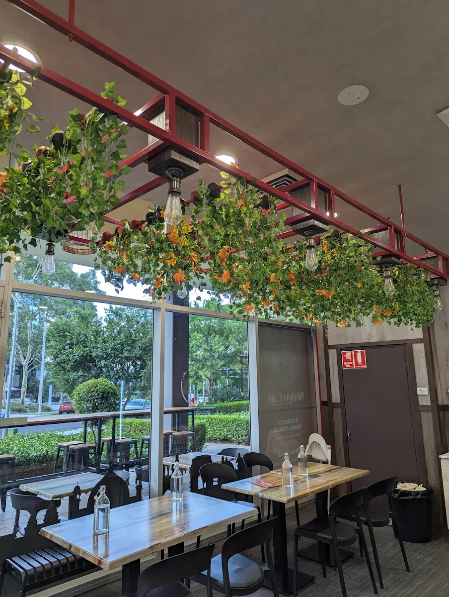Vibe, Neelgri Cafe . Vegan & Vegetarian