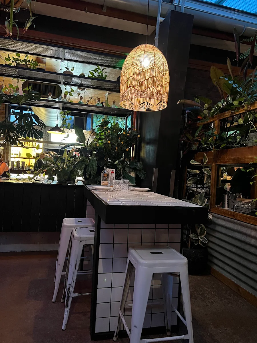 Vibe, Lola's Mexican Cantina